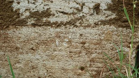 Weathered stone wall surface showing rough texture with moss and lichen, a .. Stock Photos