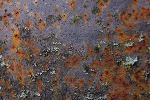 Weathered surface with patches of rust and lichen found on a metal structur.. Stock Photos