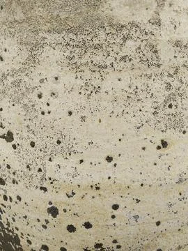 The Weathered Surface Stock Photos