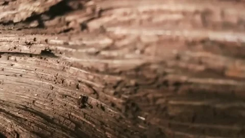 Weathered teak wood Stock Footage 147003655