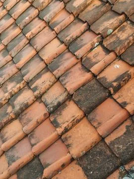 Weathered terracotta tiles line a rustic roof. Stock Photos