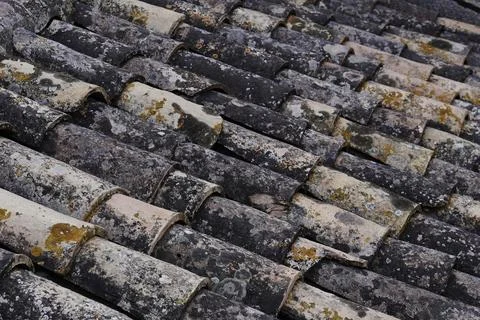 Weathered tiles. Stock-Fotos
