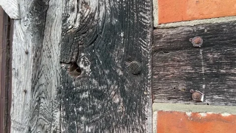 Weathered Timber Frame Detail on Traditional German Half Timbered House Stock Footage 341281271