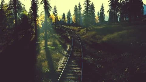 Weathered train tracks traversing a thicket of spruce trees at sundown Stock Illustration