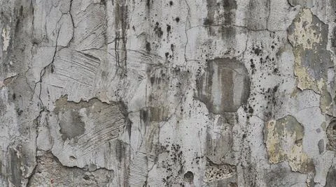 Weathered tree bark texture closeup. Fotos Stock
