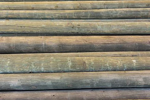 Weathered tree trunks and boles log, stacked, background Stock Photos