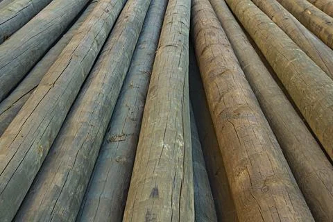 Weathered tree trunks and boles log, stacked, background Stock Photos