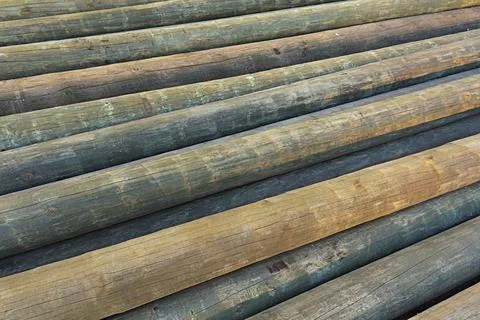 Weathered tree trunks and boles log, stacked, background Stock Photos