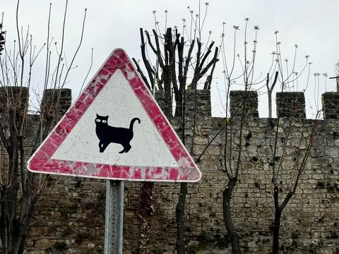 Weathered triangular street sign with black cat silhouette and large white eyes Stock Photos