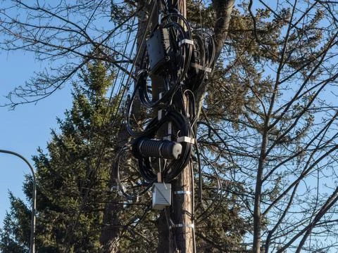 A weathered utility pole features heavy bundles of black communication cables Stock Photos