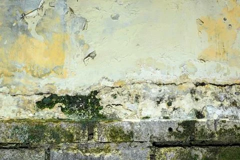 Weathered wall with peeling plaster, cracks, mold, and dampness. Grungy old.. Stock Photos