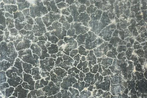 A weathered wall surface featuring a network of cracks and peeling paint Stock Photos