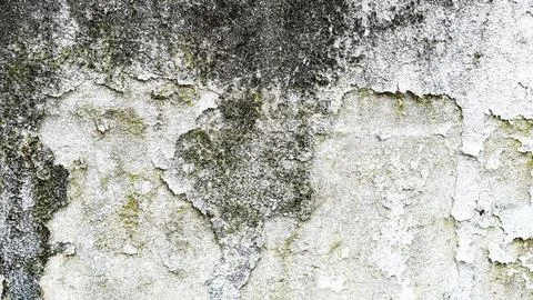 Weathered wall texture with peeling paint and grunge patterns. Stock Photos