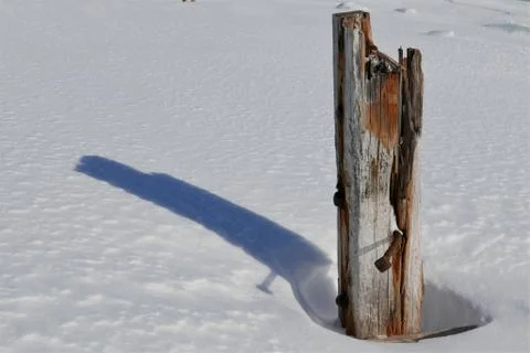 Weathered wharf support column complete with textured wood grain and rusty bolts Stock Photos