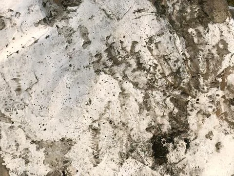 Weathered White Abstract Texture with Stains and Abrasion Stock Photos