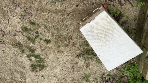 Weathered white object on sandy ground Stock Footage 325359203
