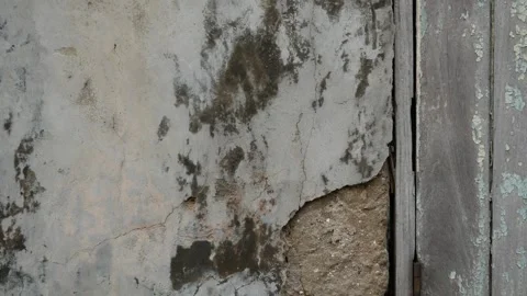 Weathered white plaster wall with cracked peeling stucco and exposed cement, Stock Footage 346223224