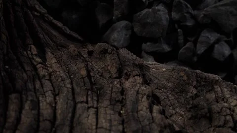 Weathered Wood with Black Stone Background Stock Footage 290766566
