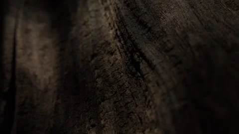 Weathered Wood with Deep Grooves. Stock Footage 285489697