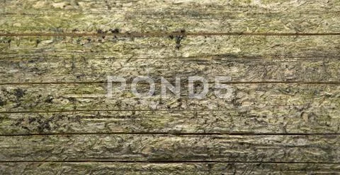 Weathered wood detail Stock Photos