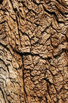Weathered wood Stock Photos