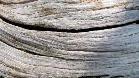 Weathered wood surface with cracks 库存照片