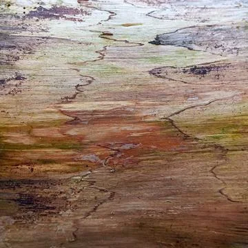 Weathered Wood Surface Texture Close Up Fotos de archivo