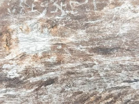 Weathered wood surface with worn white patches, subtle grain patterns Stock Photos