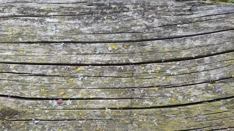 Weathered wood texture background Stock Photos