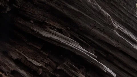 Weathered Wood Texture Close-Up Shot Stock Footage 287380154