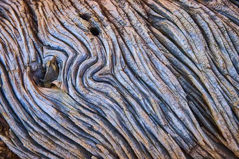 Weathered Wood Texture With Deep Bark Grooves And Organic Patterns Close Up Stock Photos