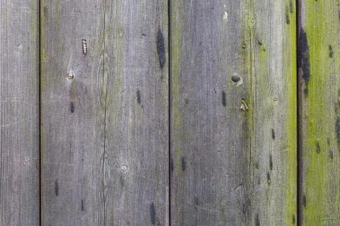 Weathered Wood Texture Stock Photos