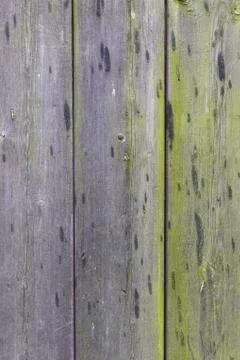 Weathered Wood Texture Stock Photos