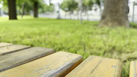 Weathered wooden bench faces a lush green lawn in a serene public park Stock Footage 336937721