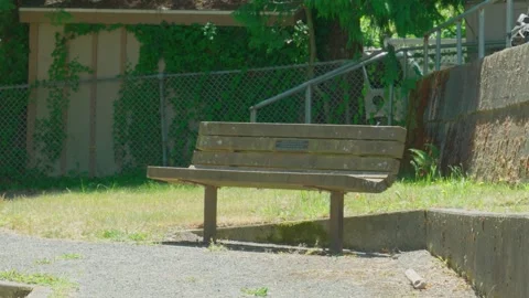 Weathered wooden bench with plaque in public park green space Видео 338308452