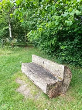 Weathered wooden log bench 库存照片