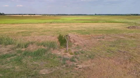 Weathered wooden post amid late-summer meadow near Újsolt, Hungary Stock Footage 346664282