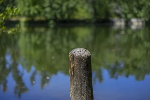 Weathered Wooden Post by a Tranquil Forest Pond Stock Photos