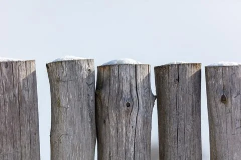 Weathered wooden posts stand in a row Stock Photos