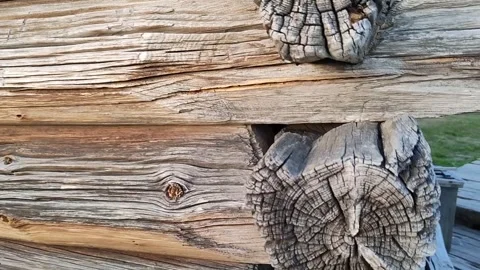 Weathered wooden rustic wall, showcasing natural beauty and texture of aged wood Stock Footage 317919790