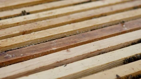 Weathered wooden slats in parallel lines with warm rustic texture across frame Stock Footage 344874587
