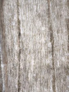 Weathered Wooden Surface Texture Stock Photos