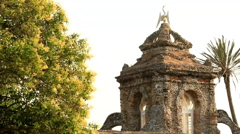 Weathervane Seagall 스톡 동영상 765061