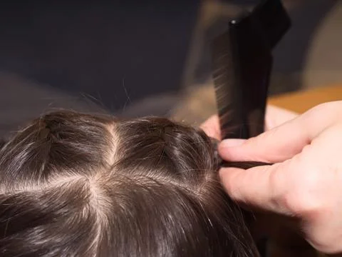 Weave braids Stock Photos