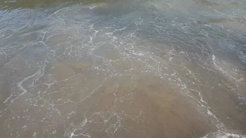 Weaves on the beach sand Video stock 228530733