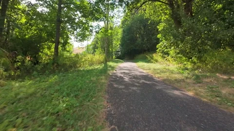 Weaving Aerial Flight Along Winding Forest Trail Path Stock Footage 341830038