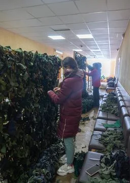 Weaving of camouflage nets made of textile scraps. Ukrainian war Stock Photos