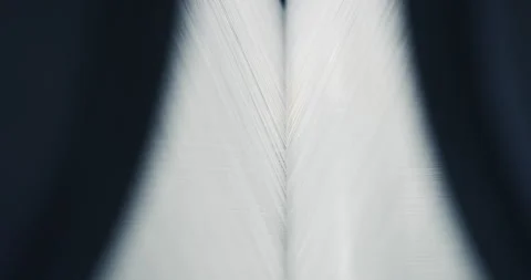 Weaving Close Up Loom And Threads Move Stock Footage 263437683