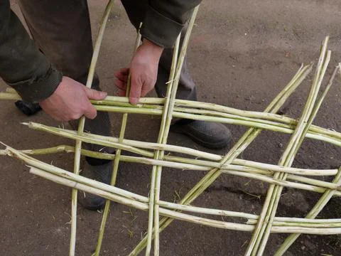 Weaving constructions from willow branches Stock Photos