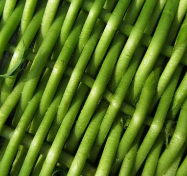 Weaving green plant texture  Stock Photos